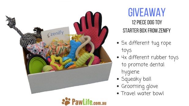 pawlife-giveaway-V1.jpg