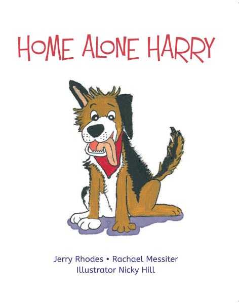 Home Alone Harry Cover